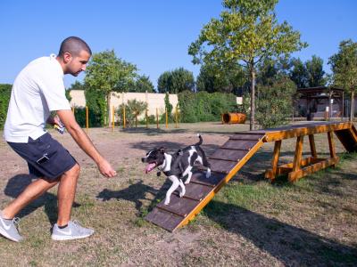 campingtahiti en holiday-offer-in-camping-village-in-lido-delle-nazioni-with-four-legged-friends-allowed 032