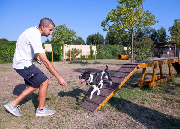 campingtahiti en holiday-offer-in-camping-village-in-lido-delle-nazioni-with-four-legged-friends-allowed 027